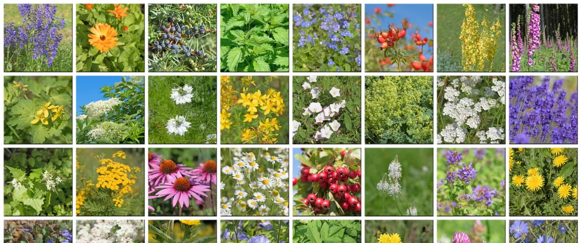 adobestock 190727964nivoba resize