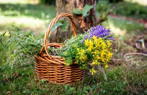 adobestock 210899154gallerybe resize